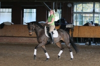 Gitana von Guter Planet x Buddenbrock | Verkaufspferd | Dressurpferde SV